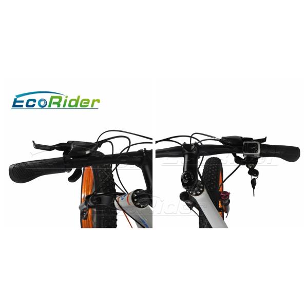 26 Inch Tires 2 Wheel Electric Bike Outdoor Off Road Dirt Electric Snowmobile Bikes High Speed