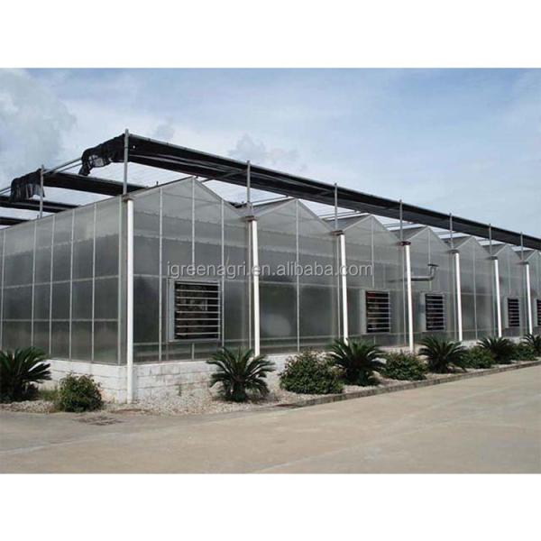 9.6m Tunnel Width Polycarbonate Greenhouse for Sustainable Agricultural Practices