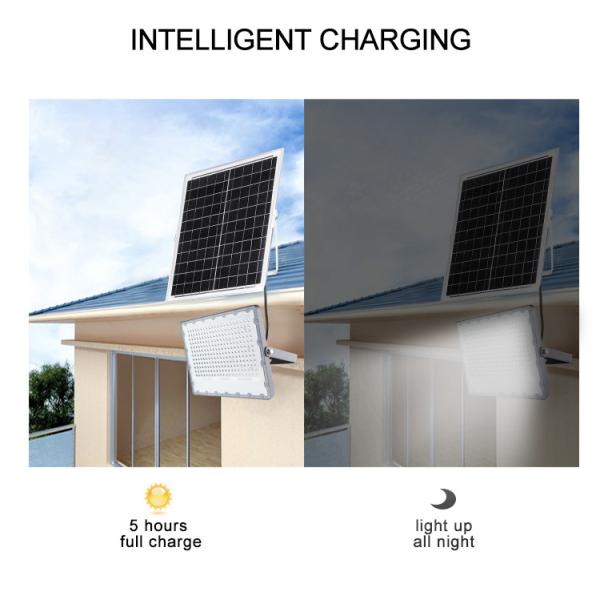 Отливка Алюминий LiFePO4 Батарея дистанционного управления Внешний водонепроницаемый 100w Солнечный светодиодный светодиодный свет