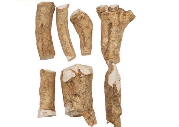 100% Pure Ingredient Horseradish Root Wasabi Special For Japanese Cuisine