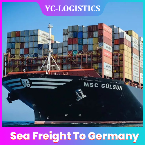 Wednesday Departure Zhejiang Sea Freight Shipping Company Shenzhen