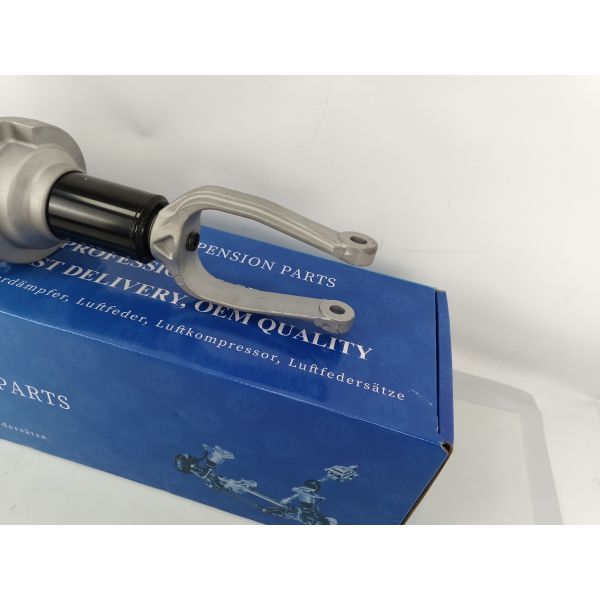 Auto Parts Front Left Right Car Shock Absorber For Audi R8 4S 2017-2026 #OE 4S0412019 4S0412019J 4S0412020 4S0412020J