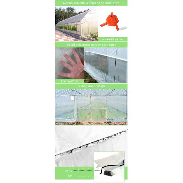 BAOLIDA Single-Span Greenhouse 6-10m Width 150/200micro PE Film Cover