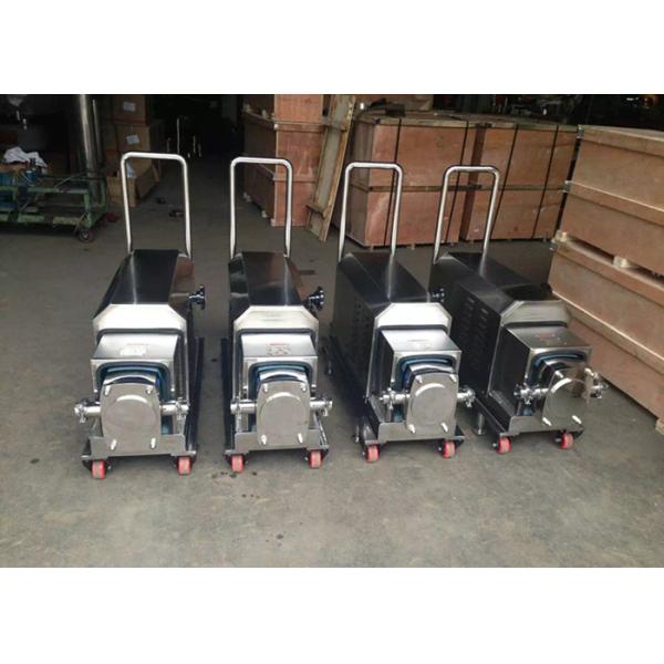 Санитарный насос 220В 60ХЗ качества еды ОЭМ масляного насоса 3 участков высоковязкий/ОДМ доступный