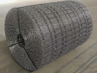 Longitud 140 M Malla de refuerzo galvanizada CWC soldada 6 8 o 10 líneas Malla de revestimiento de tuberías