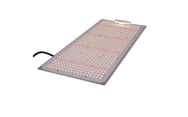 Tabela quântica de luz de crescimento LED de 200W para cultivo comercial de plantas