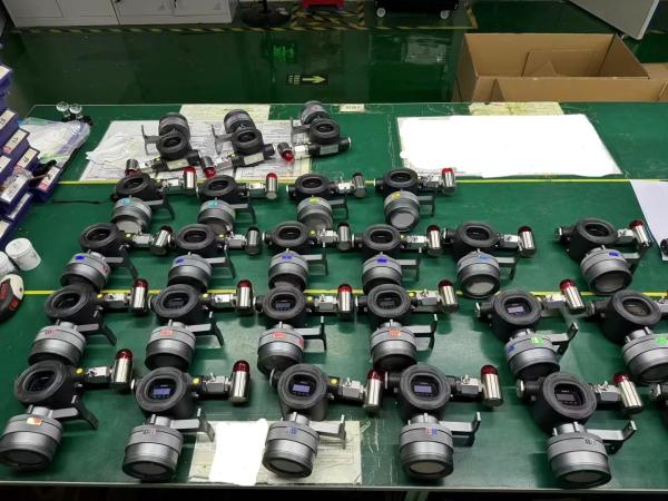 Détecteur de gaz 4 en 1 monté sur le mur Safegas Détecteur de gaz 4 en 1 certifié IECEX Type de diffusion Transmetteur sans fil