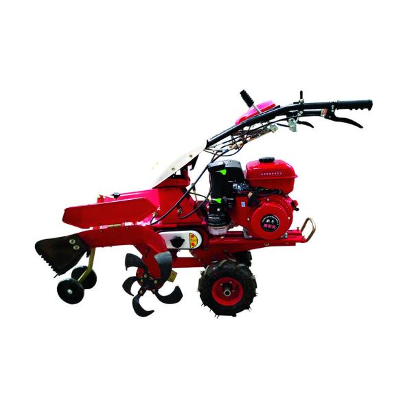 Gear Transmission Mini Micro Rotary Walking Trencher Machine for in Tillage Option