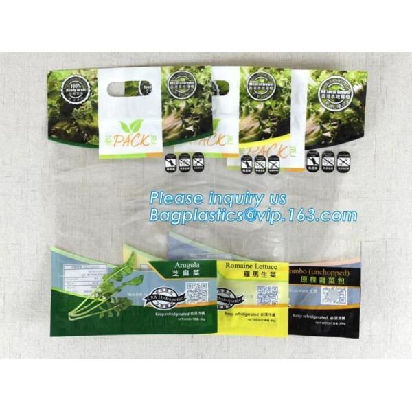 slider lock packaging pouch vent hole and handle, grape bag/mango bag/fruit vegetable slider, Slider Zip Lock Zipper Fr