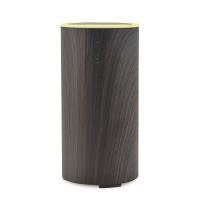 humidificateur portatif de la Chambre 10-20ml/H, diffuseur d'huile essentielle du rond ISO9001