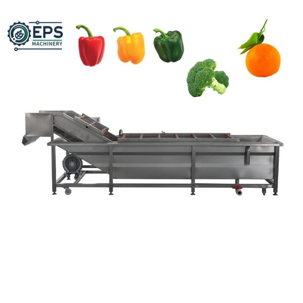 Fully Automatic Bubble Cleaning Machine for Commercial Fruit and Vegetable Processing