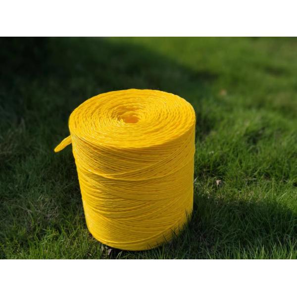 UV Stabilized Polypropylene Twine with High Breaking Strength and Customized Colors for Agricultural Use
