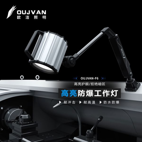 Lámpara de trabajo de cuello de cisne a prueba de explosiones, luz de trabajo LED impermeable para máquinas, brazo largo 24V 110V 220V