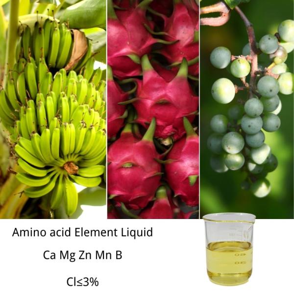 Ph3-5 Aminoácidos Quelados Ca Mg Zn B Mn Fertilizante líquido Amarelo Micronutrientes Quelados Líquidos