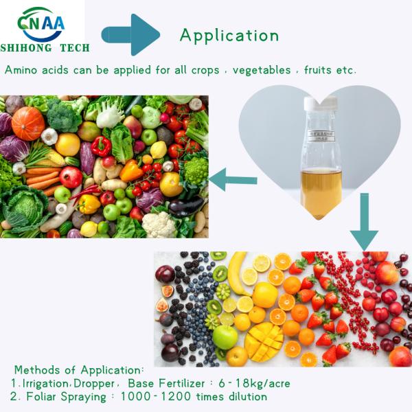 Fertilizante orgánico del aminoácido vegetal del 60% para el suplemento de nutrientes de la agricultura