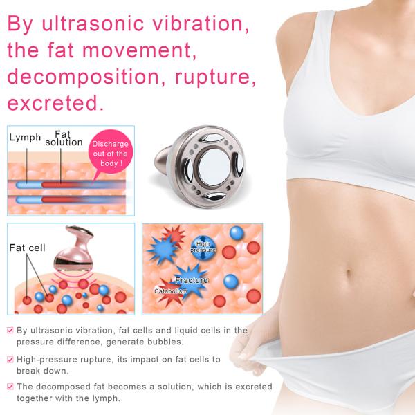 Кавитация оптовой портативной ультразвуковой машины потери веса тела фотона СИД жирная