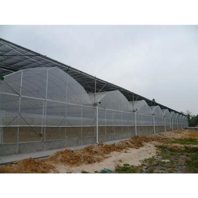 Serre tunnel plastique multi-travées pour fleurs et légumes hydroponiques
