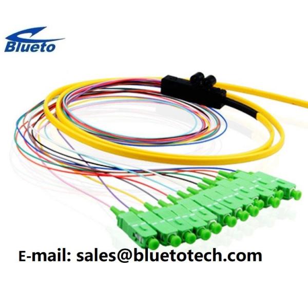 A fita de OM3 FC ventila para fora trança 12Colors da fibra da fita do modo da trança 12fiber FC da fibra ótica a multi