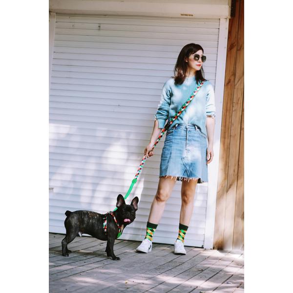 Soft Sponge Padded Neoprene Handle Dog Leash For Medium And Large Dogs