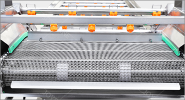 100-500kg/H Ozone Fruit And Vegetable Washer For Cleaning Carrots And Cassava