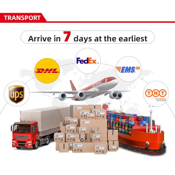 Factory Wholesale Professional  MORISMOS Purple 40in Super Soft Giant Shark Stuffed Toy Cute Kids' Animal Pillow with PP Filling