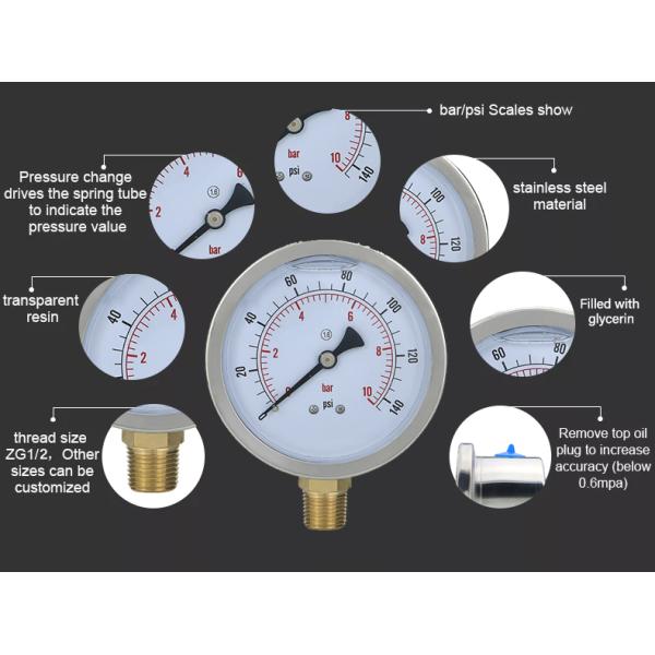 100mm NPT1/2 Brass Connection Pressure Gauge with Stainless Steel Housing OEM Support