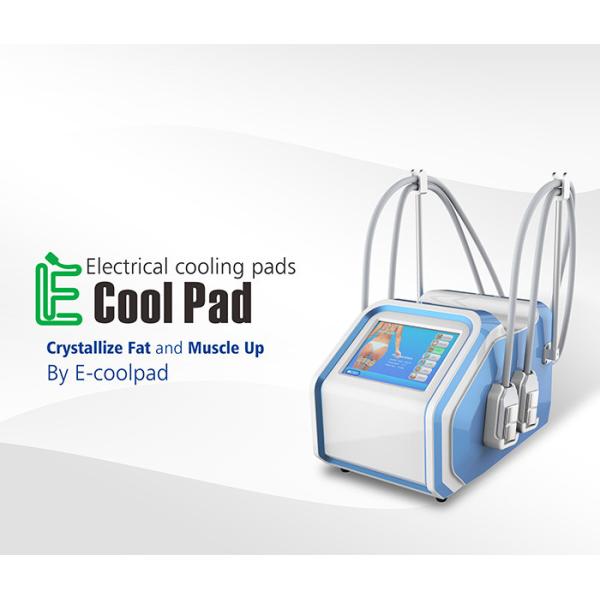 Cuerpo de Cryolipolysis que adelgaza el dispositivo con 4 manijas del cojín del PCS ninguna contusión