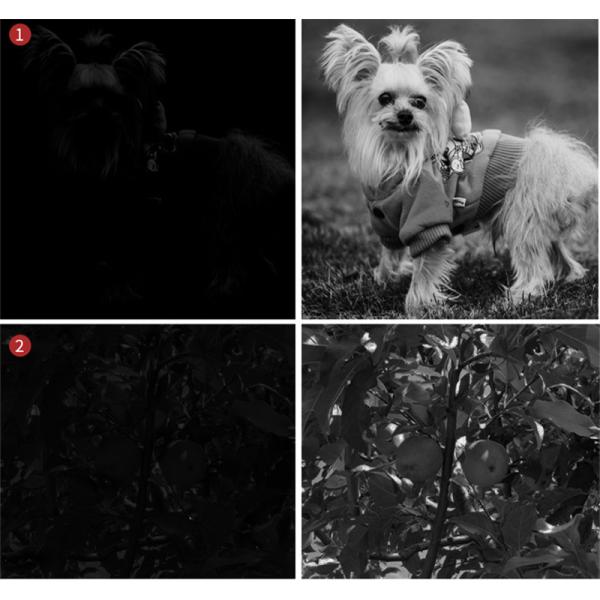 ночное видение 5X40 охотясь объем 400g цифровой фотокамеры инфракрасн объема ультракрасный