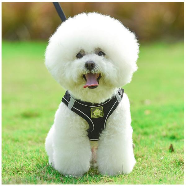 No Pull Quick Release Adjustable Dog Pet Collar Leash Vest New Arrivals