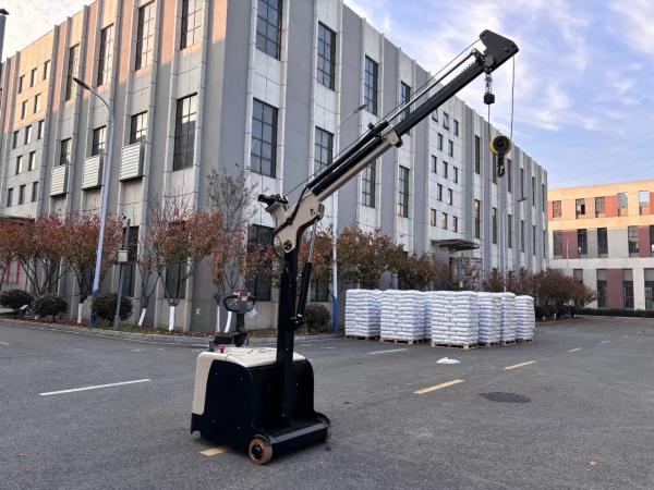 Non Standard Electric Counter Balance Forklift  Truck with Crane Arm  Length 2480 mm 24V 210AH