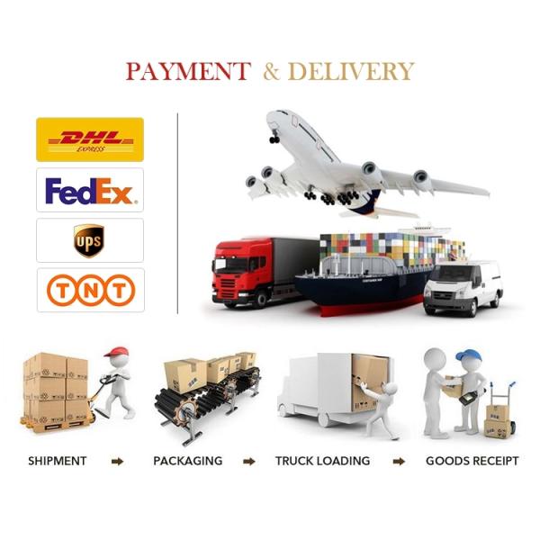 Мешки для мусора автомобиля PE пластиковые устранимые Biodegradable делают водостойким