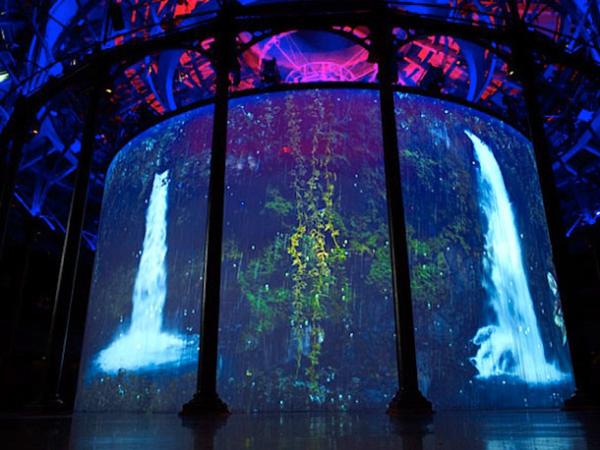 Front / Rear Transparent Hologram Show Screen Projection Screen Holoflex 30m Length