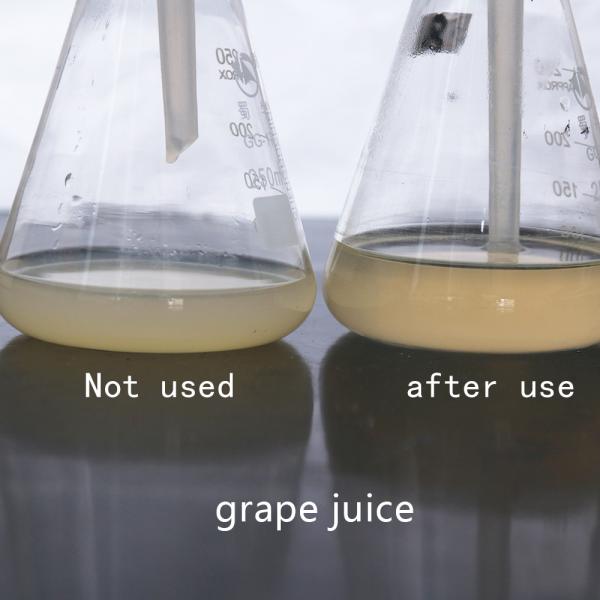 20000U/G Produit de pectinase Enzyme de pectinase liquide dans l'industrie alimentaire
