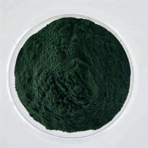 Wholesale Chlorella Powder Organic From China Supplier