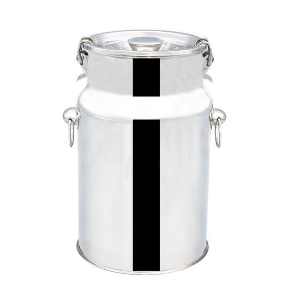 Mini 5L Lidded Milk Pail Stainless Steel Milk Bucket Sealed Cans
