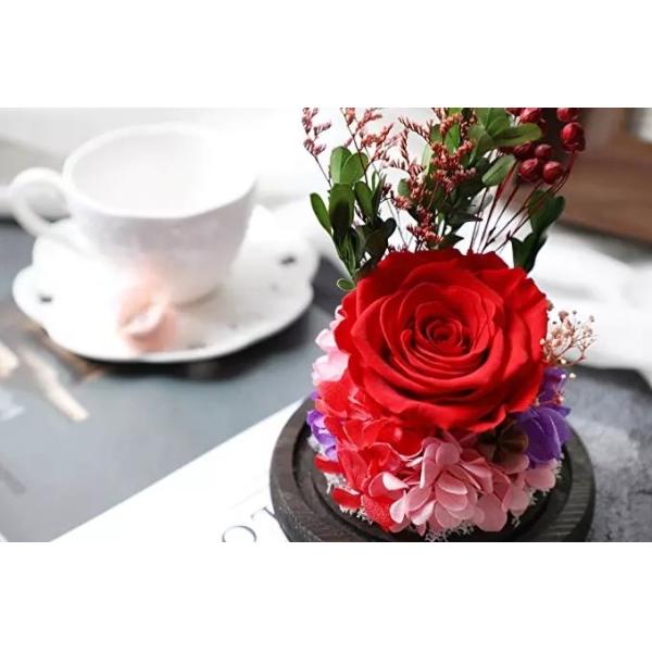 Popular Long lasting flowers arrangement preserved rose in glass