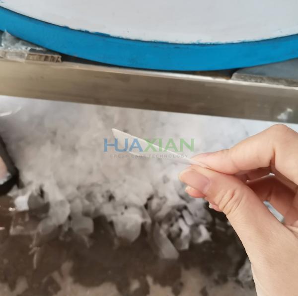 China Industrial Ice Maker Machine Price, Flake Ice Making Seafood Processing Machine