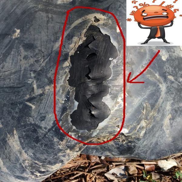 Продолжительность жизни 3-15 лет ЧЕРНАЯ СТЕЛЬНАЯ РАМЕРА ПВХ ВВП-Танк для внутренней рыбной фермы Квадратная форма