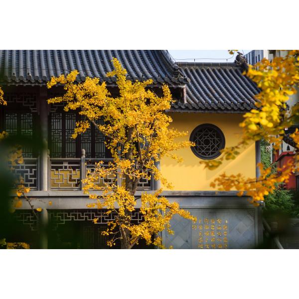 China Town Roof Tile Traditional Residential Commercial Old Buildings Modern Durable Roofing
