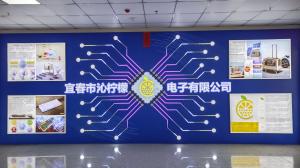 Yichun Qinningmeng Electronics Co., Ltd.