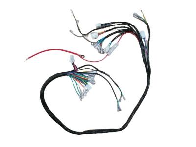 Chicote de fios principal
