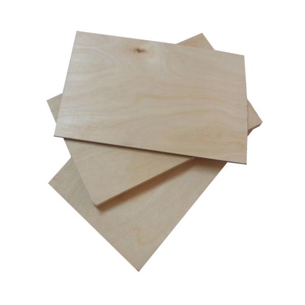 1220*2440mm Birch Faced Plywood