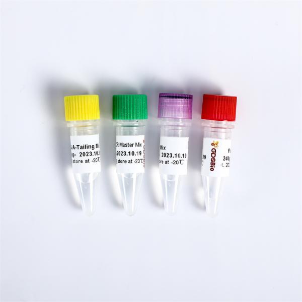 K001-A K001-B NGS Library Construction Illumina High Throughput Sequencing Platform Fast DNA Library Prep Kit