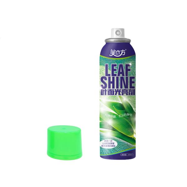 Tinplate Non - Toxic Dusting Brightening Leaf Shine Spray 600ml For Foliage Palnts