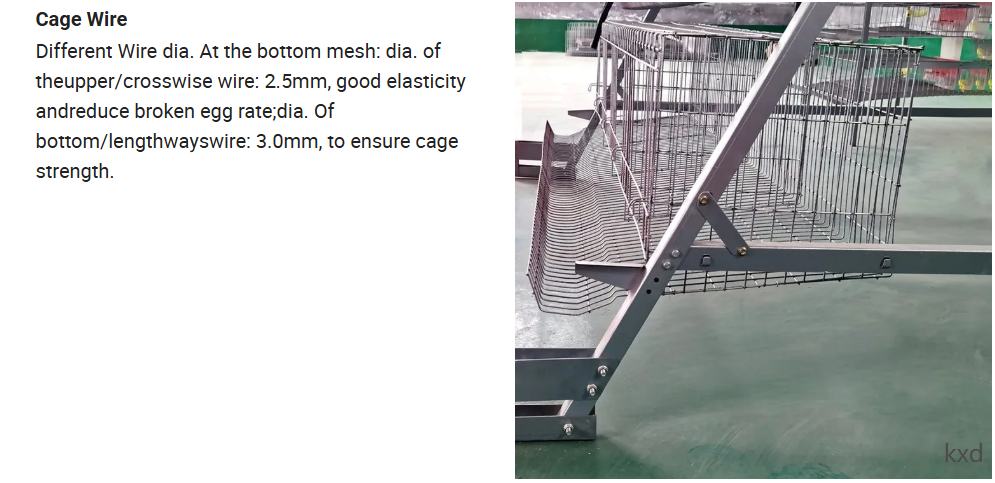 Hot-dip galvanized H-type layer cage with high egg laying rate and good ventilation for large scale poultry breeding