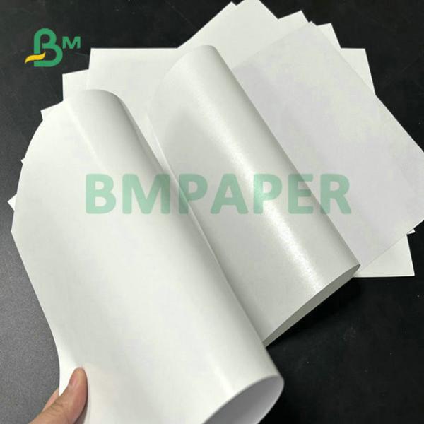 207mm Imprimível 80gm Papel Semi-brilhante + Adesivo Hotmelt + 60gm Glassine Liner Para rótulos de supermercado