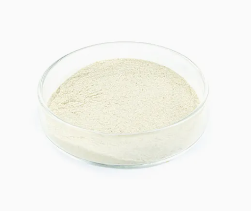 GMP factory  supply 98% Purity Piperlongumine Powder CAS 20069-09-4  low price