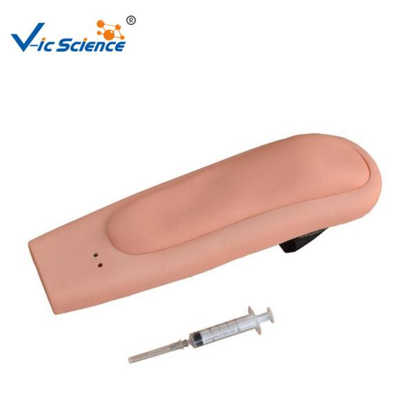 Wearable Intramuscular Injection 8kgs Medical Training Model