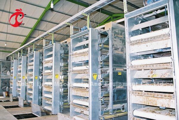 Тип CE h клетки цыпленка бройлера, полноавтоматическое оборудование Adela клетки бройлера