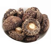 Hongo de shiitake marrón deshidratado con un intenso aroma a hongo